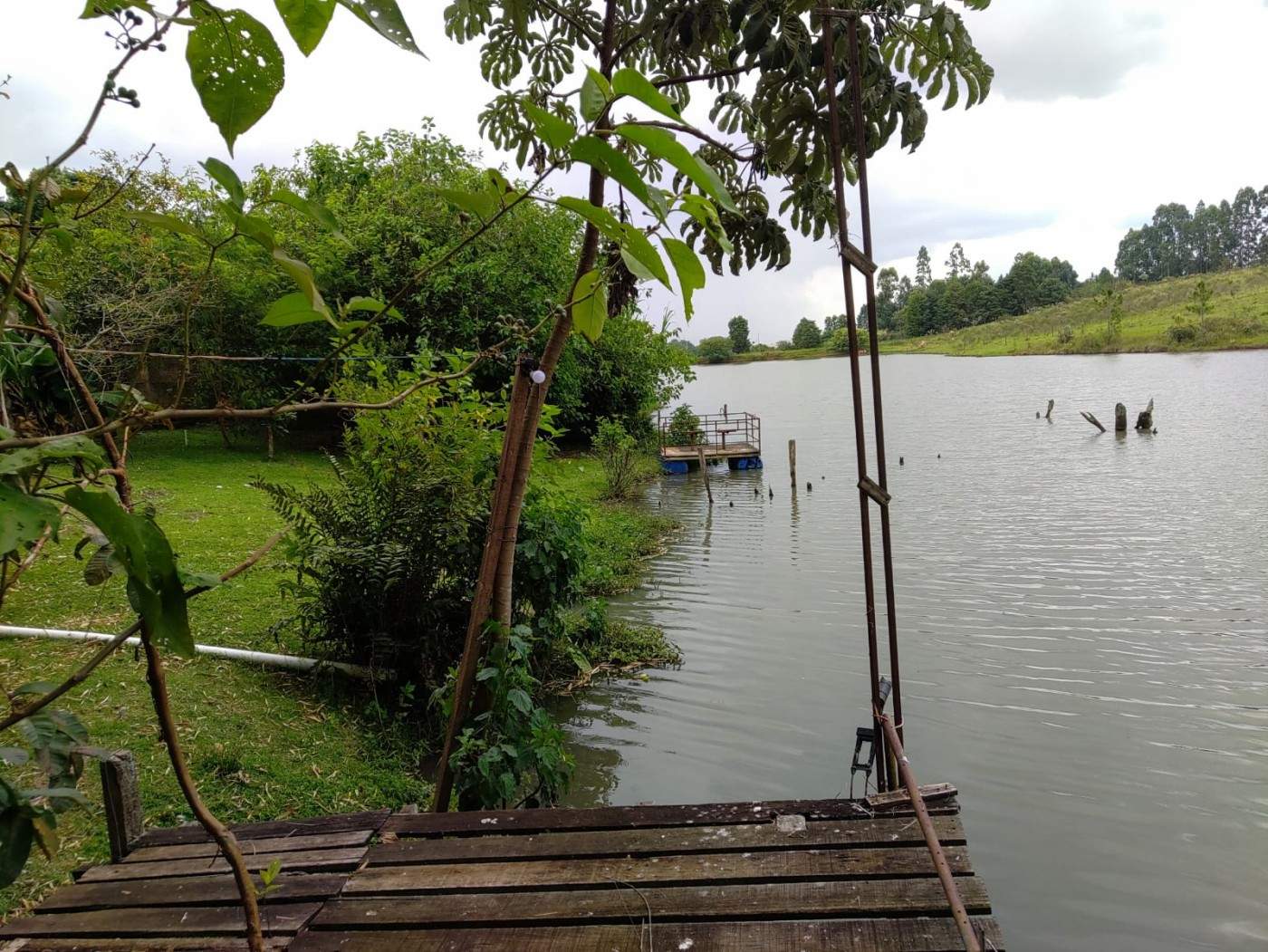 Chácara, 5 quartos, 2900 m² - Foto 20