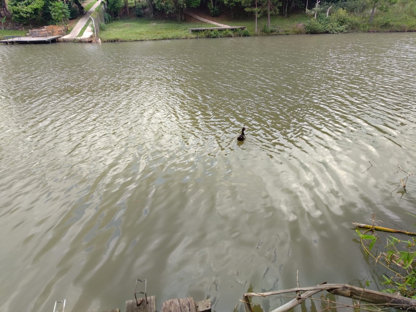 Chácara, 5 quartos, 2900 m² - Foto 21