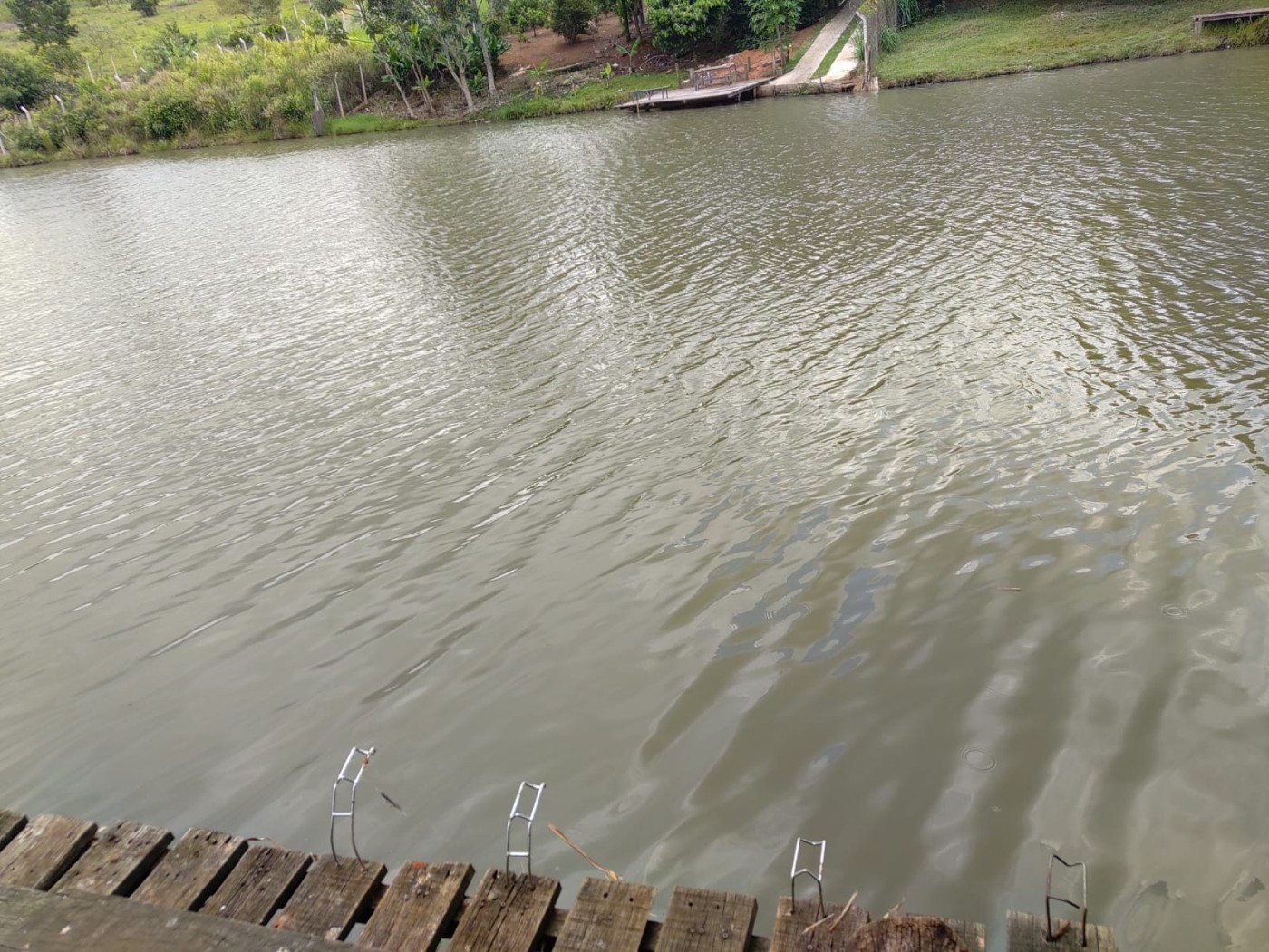 Chácara, 5 quartos, 2900 m² - Foto 28