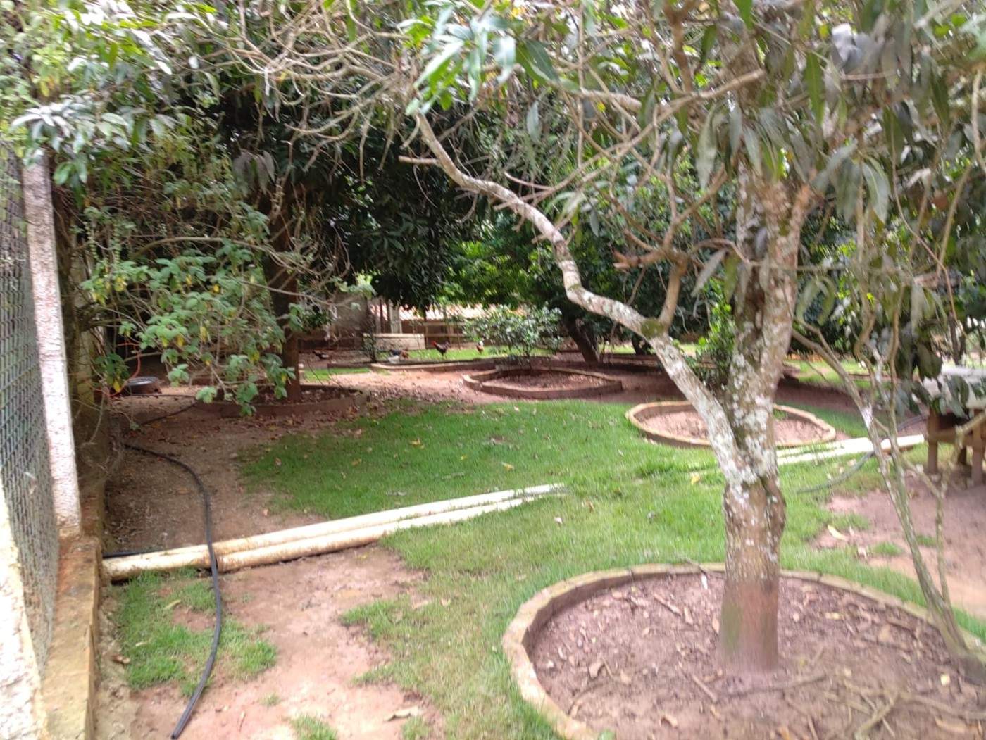 Chácara, 5 quartos, 2900 m² - Foto 33