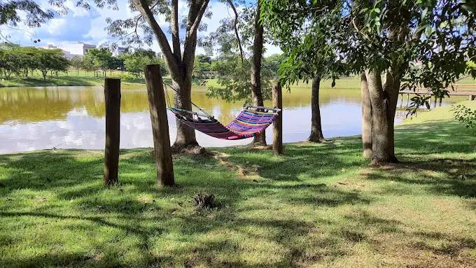 Terreno, 200 m² - Foto 6