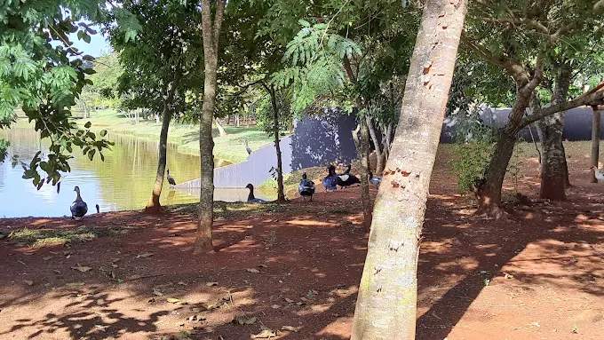 Terreno, 200 m² - Foto 5