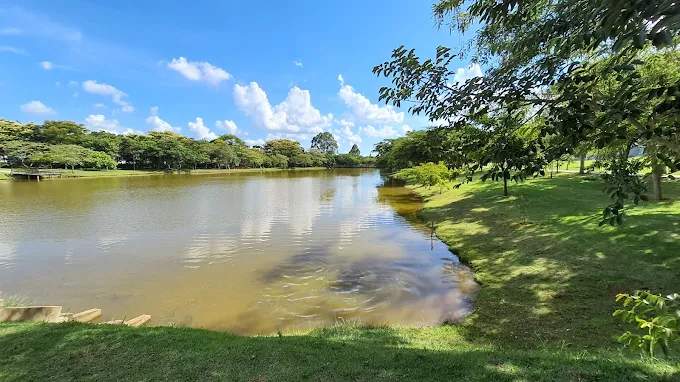 Terreno, 200 m² - Foto 7