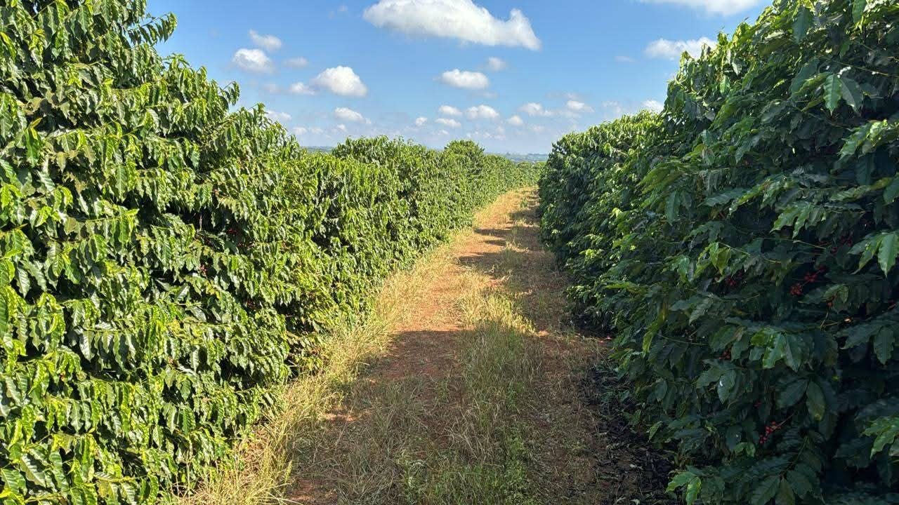 Fazenda, 130 m² - Foto 5