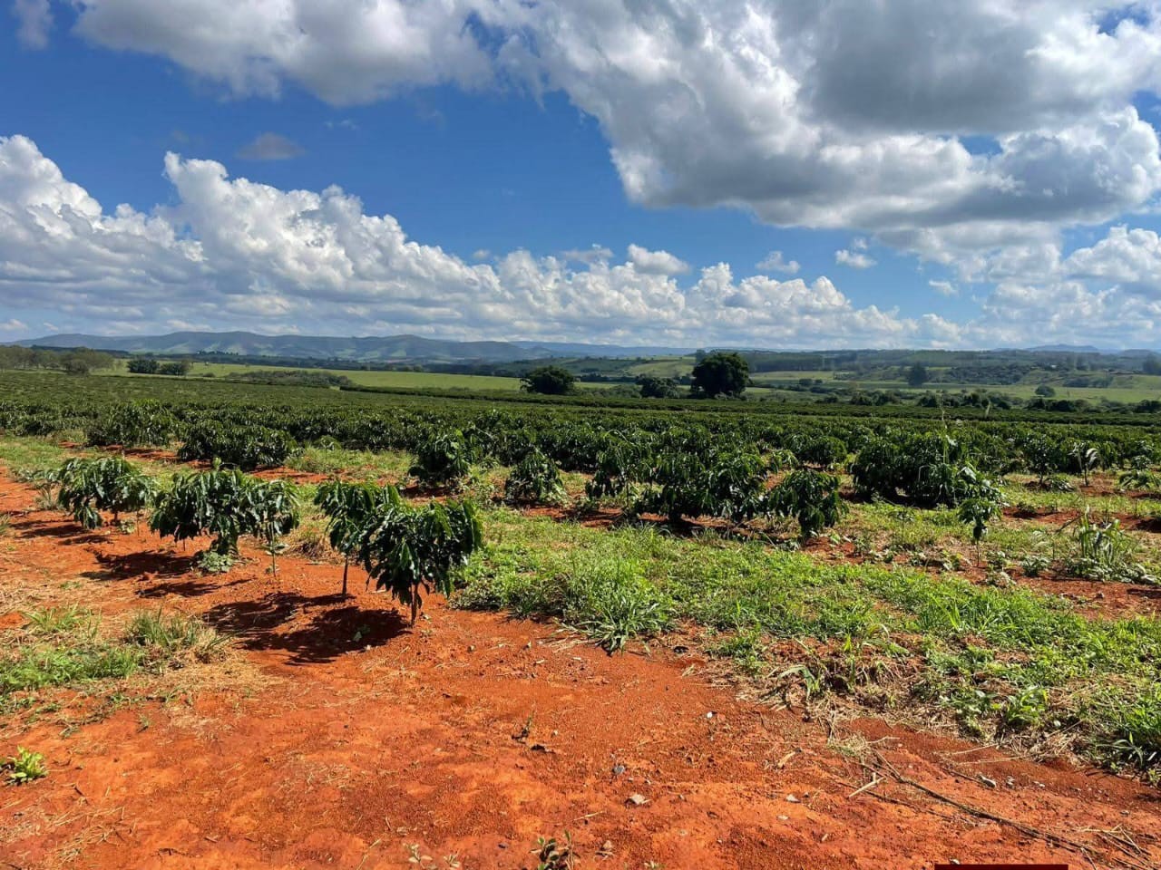 Fazenda, 130 m² - Foto 7