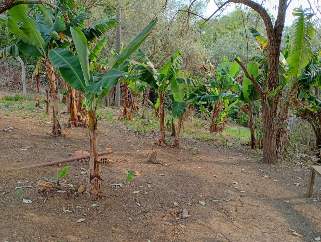 Terreno, 1000 m² - Foto 4