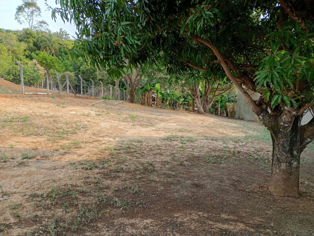 Terreno, 1000 m² - Foto 8