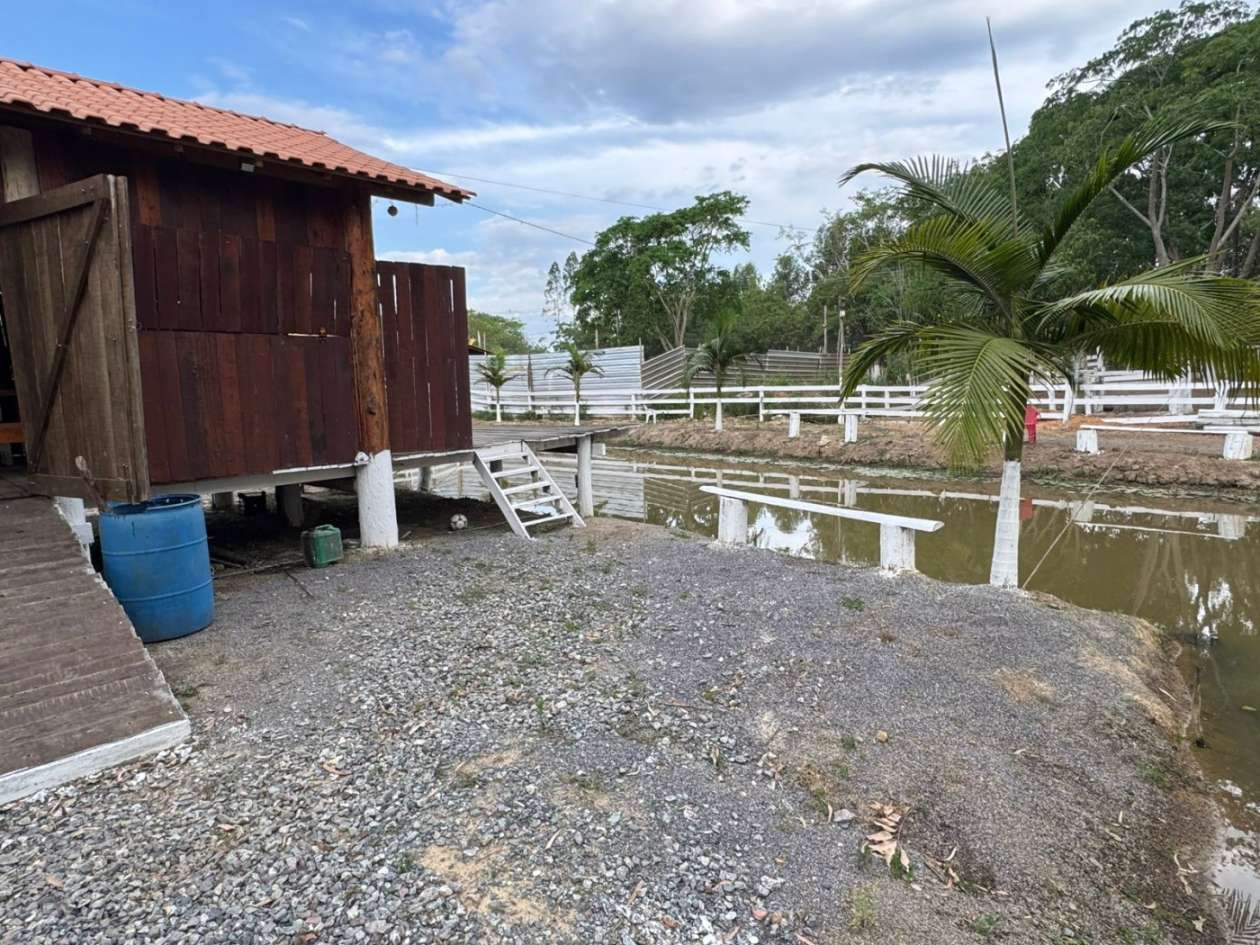 Chácara, 3145 m² - Foto 4