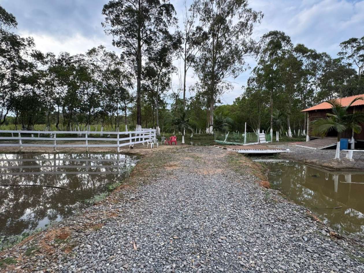 Chácara, 3145 m² - Foto 6