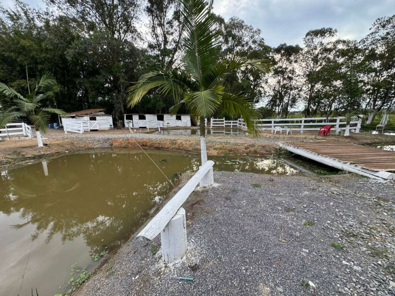 Chácara, 3145 m² - Foto 10