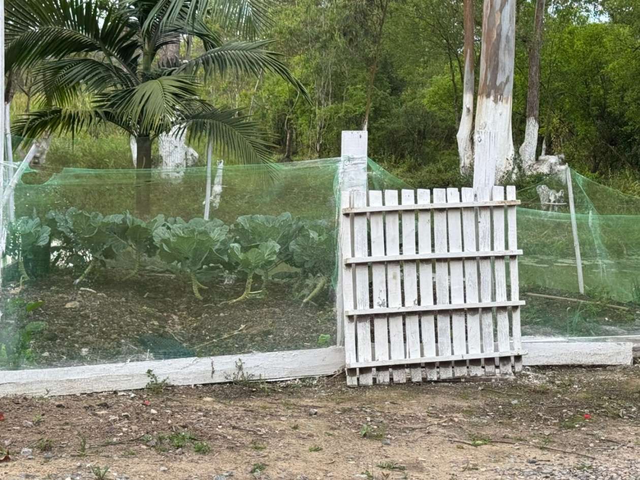 Chácara, 3145 m² - Foto 11